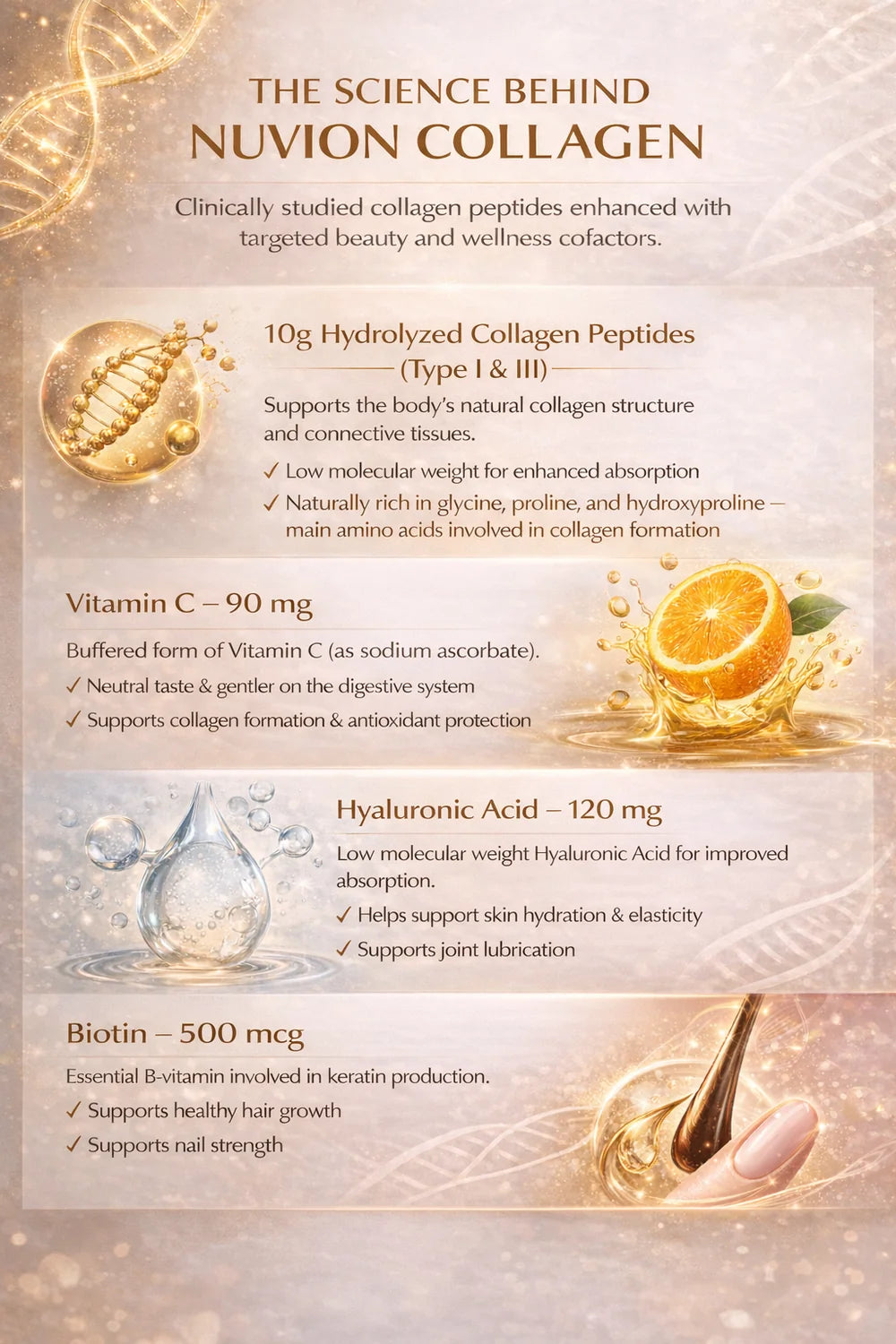 Nuvion Wellness Premium Collagen Peptides – Unflavored | 30 Stick Packs